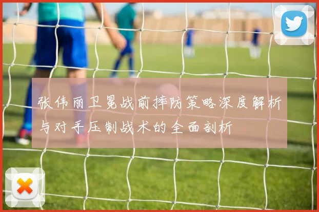 张伟丽卫冕战前摔防策略深度解析与对手压制战术的全面剖析